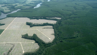 Преди време разказахме за правителствен проект на Китай според който