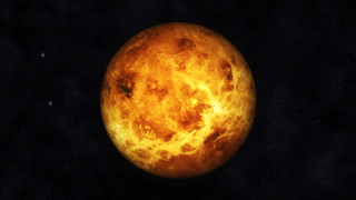 Има ли живот на Венера