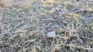 НИМХ издаде жълт код за слани Предупреждението е в сила