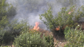 Пожарът край Пъстрогор продължава да бъде наблюдаван след като вчера