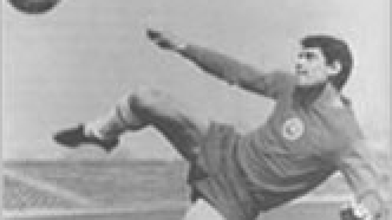 Изображение 17656