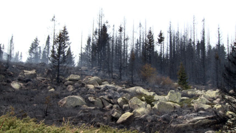 Изображение 137856