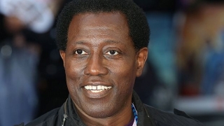 Уесли Снайпс сменя попрището