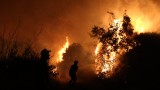 Силни ветрове затрудняват гасенето на 40-те пожара в Гърция
