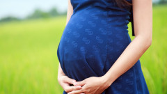 Полша иска да въведе регистрация на всяка бременност