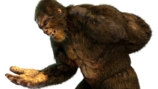 Голямата стъпка известен още като Саскуоч е голямо космато човекоподобно