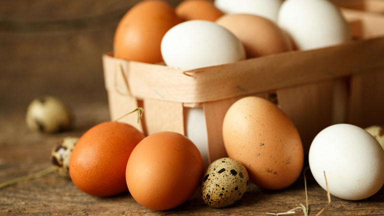 Заразените яйца стигнали и до Великобритания и Франция