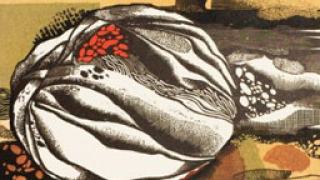 Рисунки и графики на Юлий Минчев в галерия "София прес"