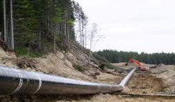 Shell е изчистил екологичните нарушения в проекта Сахалин