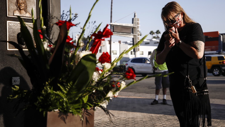 Изображение 499456