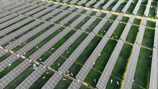 Благодарение на партньорството между собственика на соларни паркове Enel North