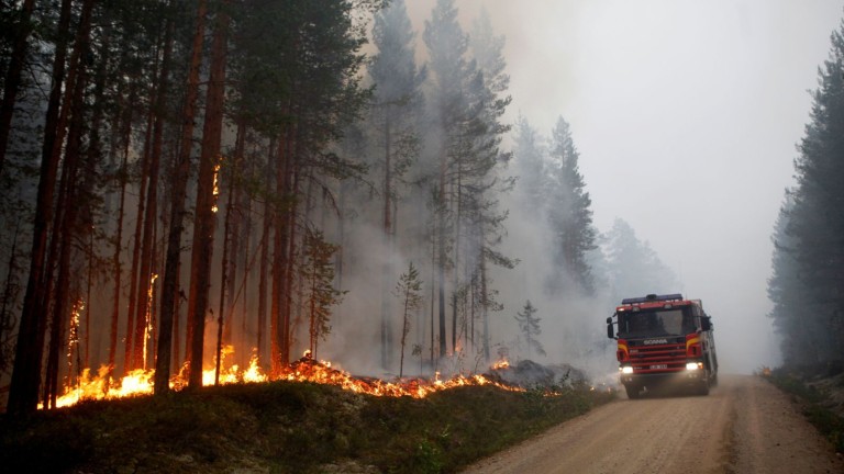 Горски пожар бушува до Берлин