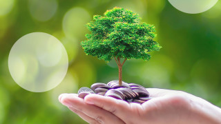 Инвестирате ли средствата си с добра доходност по време на