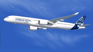Катар търси $600 милиона от Airbus заради люпеща се боя