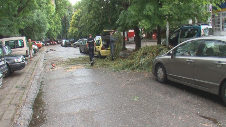 Буря в Пловдив едва не взе жертви