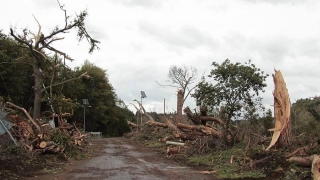 B Северна и Южна Италия e обявено извънредно положение заради
