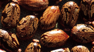 Американската полиция е задържала в град Лоуган щата Юта подателя