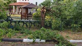 Частично бедствено положение е обявено за землищата на селата Хаджидимитрово