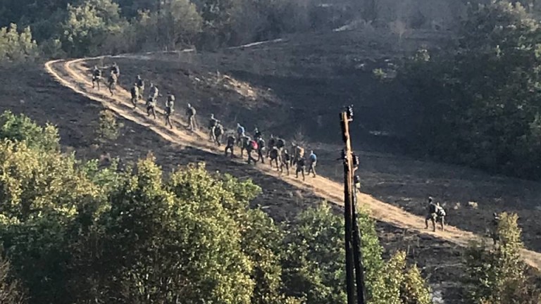 Изображение 541857