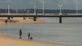 Повече от 750 кг кокаин по голямата чат е с 83