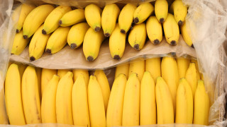 Еквадор е най големият износител на банани в света следван с