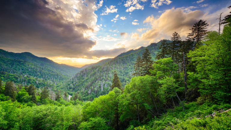  Апалачите са една от най-живописните планински вериги на Земята. 
