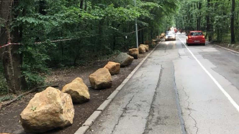 Камъни за 10 000 лева пречат на паркирането в Борисовата градина 