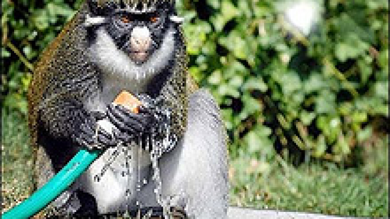 Изображение 4757