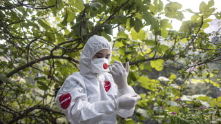 Турция от днес забрани пушенето на открити места улици