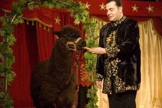 Драго Драганов дресира лама с морков