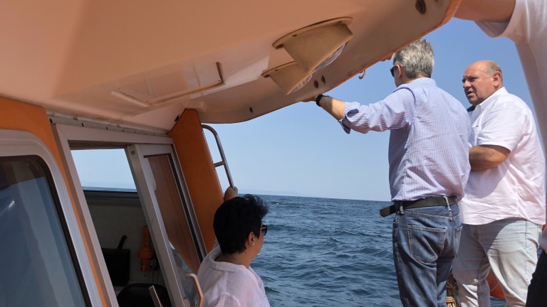 Изображение 375657