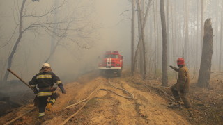 В Чернобилската зона все още има четири тлеещи огнища от