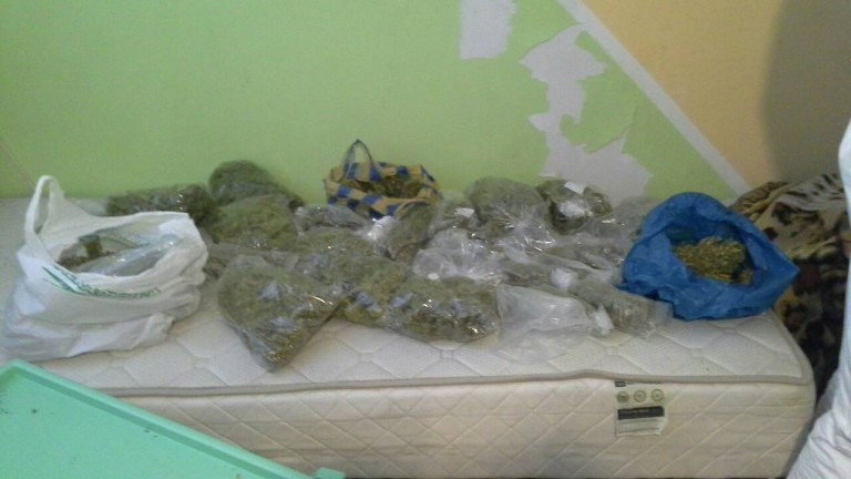 Изображение 346257