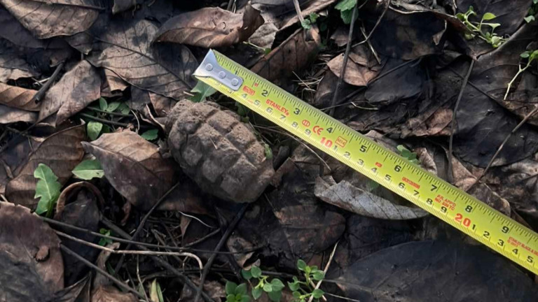 Изображение 746357