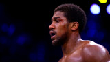 Boxingnews24.com: Джошуа ще избере да се бие срещу Пулев, защото ще му бъде по-лесно