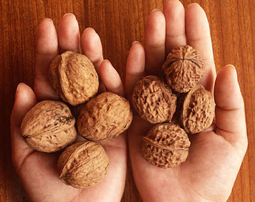 Орехите подобряват плодовитостта на мъжете