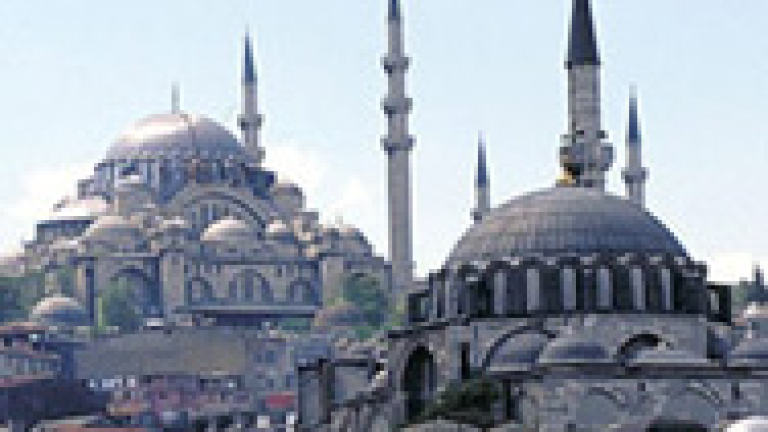 Изображение 8457