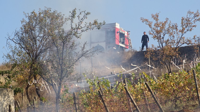 Спасиха от пожар лозе и градини в благоевградското село Рилци