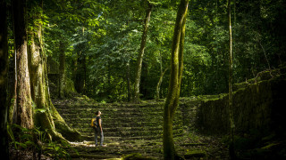 Огромен град на маите е открит векове след като изчезва