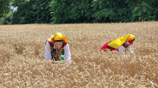 Служебният министър на земеделието и храните Георги Тахов даде началото
