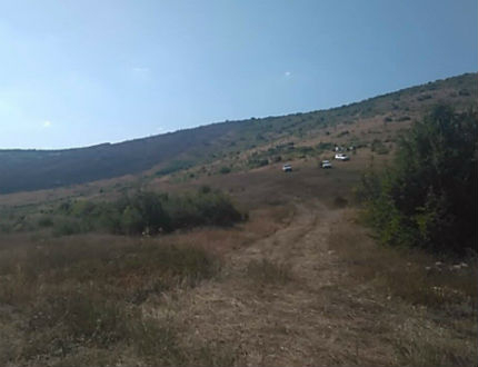 Пожар застрашава борова гора край Стара Загора