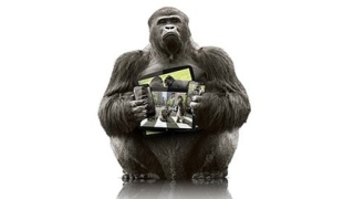 Скоро ще видим Gorilla Glass и в автомобилите