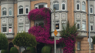 Купуването на жилище в пазар номер 1 в света може