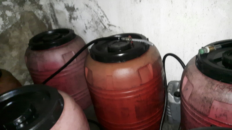Изображение 270058