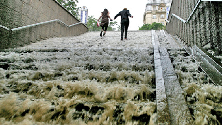 Изображение 50258