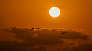 Сутрин - слънце, а следобяд - дъжд