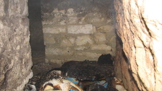 Разполагаме с около 600 скривалища