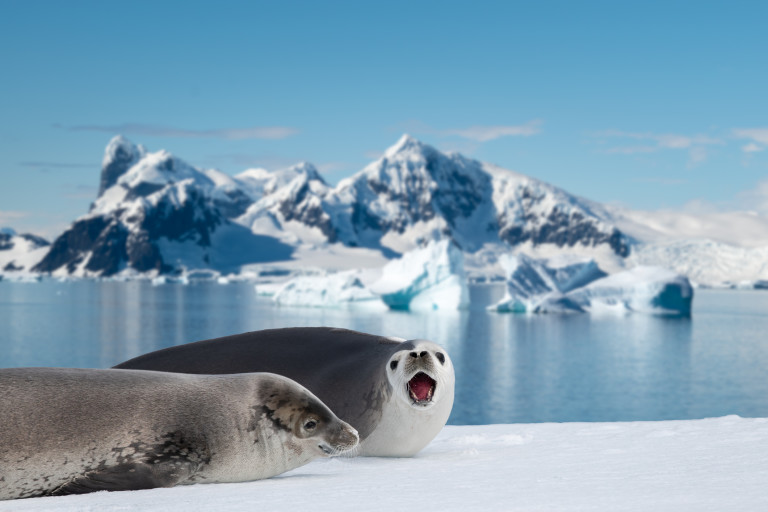 Антарктида е най-засегната от повредения озонов пласт