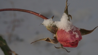 От -19 до +19 градуса през февруари