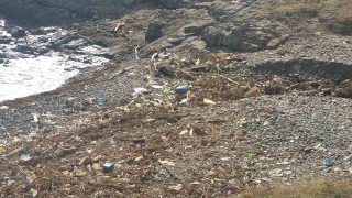 Българската агенция по безопасност на храните БАБХ участва активно в